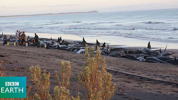 Podivuhodné přírodní úkazy (5/6)