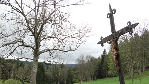 Šumava Vladimíra Horpeniaka