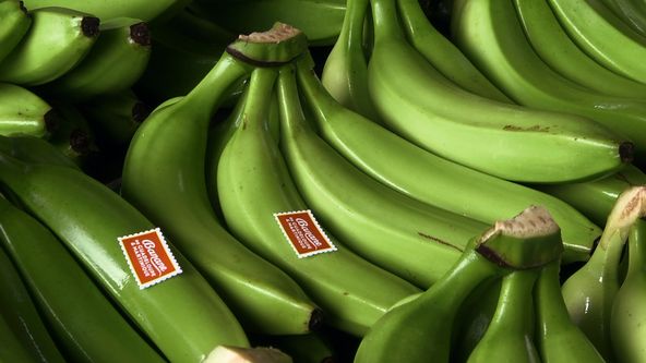 Na cestě po Martiniku