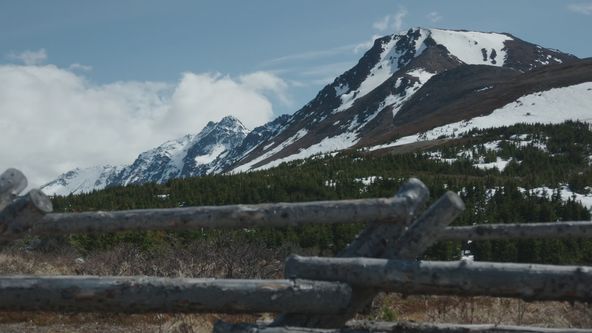 Vražedný národ II (3)