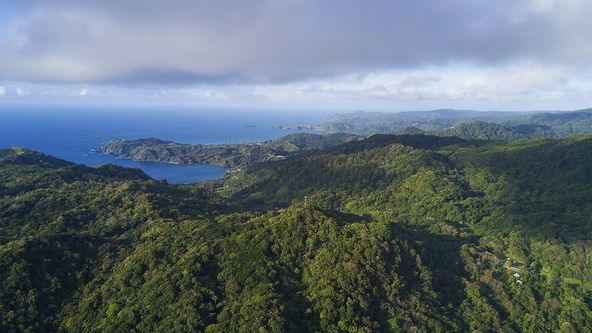 Na cestě po Trinidadu a Tobagu