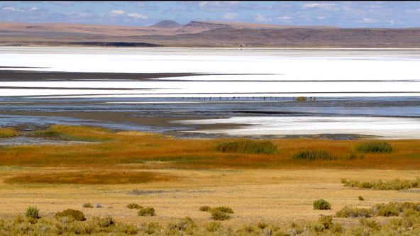 Planeta Kalifornie (1/2)