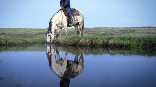 Národní park Grasslands: Skrytá divočina Severní Ameriky