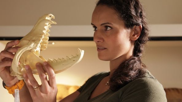 Vymřeli či žijí (3)