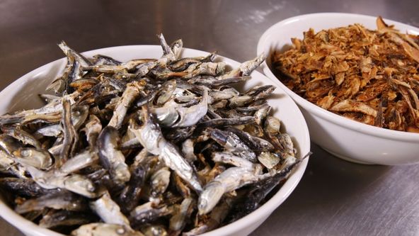 Bizarní jídla: Lahodné destinace V (14)