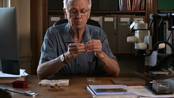 Zvířecí odysea (2)