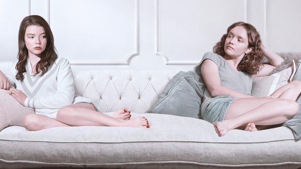 Vollblüter - Gute Mädchen können auch Böse