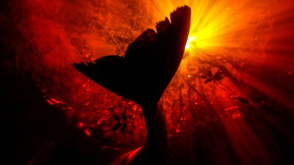 Zázračná planeta: Velké řeky světa