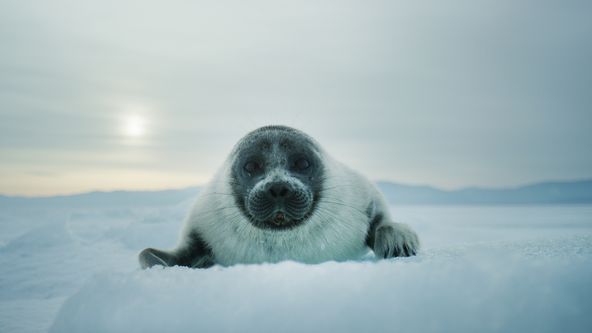 Planeta Země z vesmíru (4)