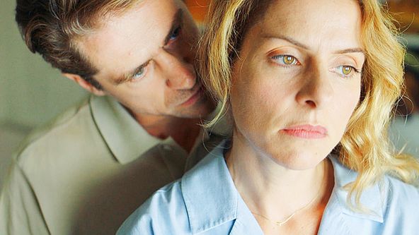 Všichni krásní koníci