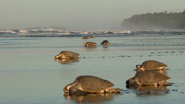 Objevování světa II