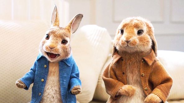 Králíček Petr bere do zaječích