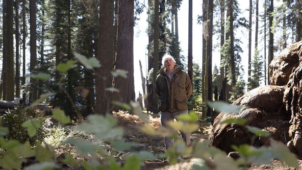 Zázračná planeta: Zelená planeta (1/5)