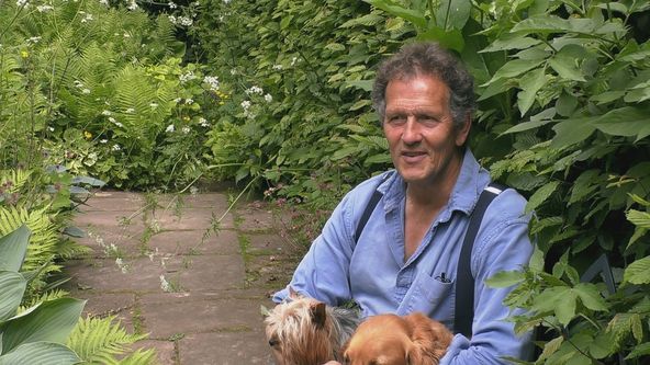 Zahradníkův svět XI (2)