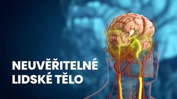 Neuvěřitelné lidské tělo