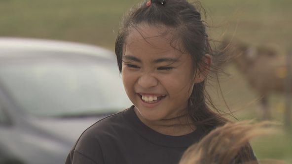 Uruné - můj horský koník