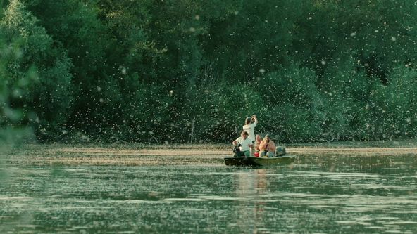 Království divočiny: Jepice dlouhochvostá, Maďarsko