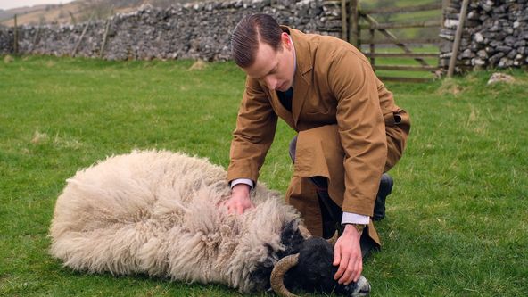 Všechny velké a malé bytosti II