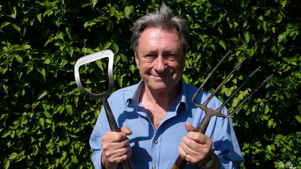 Jako na drátkách v kuchyňských zahrádkách (3)