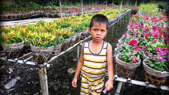 Na cestě po deltě Mekongu