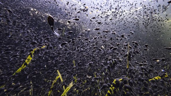 Skrytá příroda Miami