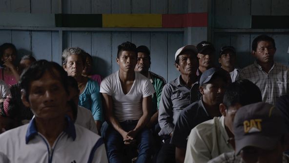 Nezákonná těžba dřeva - skandální odhalení