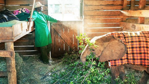 Zázračná planeta: Dokonalá planeta (5/5)