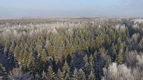 Na cestě po jihu Estonska