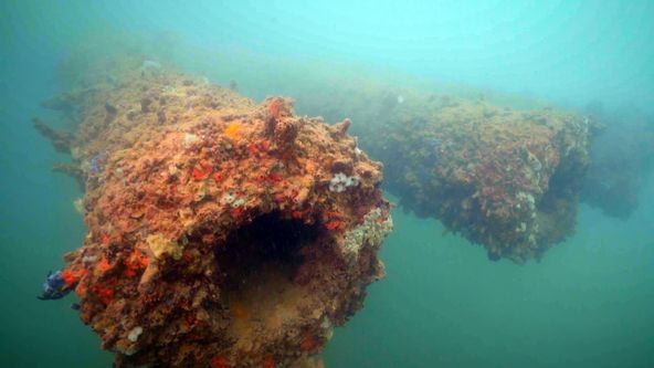 Pearl Harbor: Do útrob Arizony (1/2)