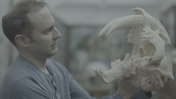 Odhalená ztracená zvířata (3)