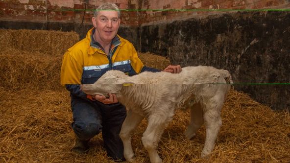 Veterinář z Yorkshiru X (2)