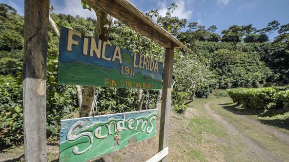Restaurace na konci světa (2)