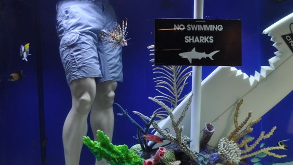 Akvária na míru VII (7)