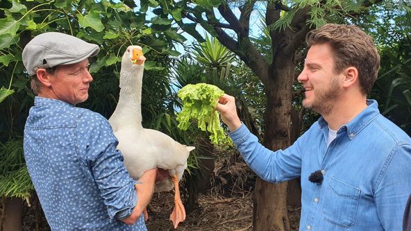 Ralf, der Bauernreporter