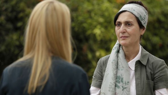 Ve jménu vlasti VIII (12/12)