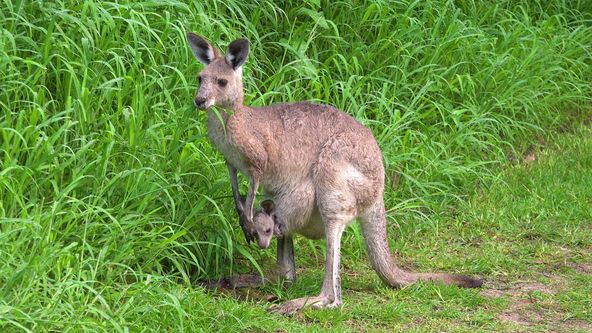 Nejkrásnější scenérie světa