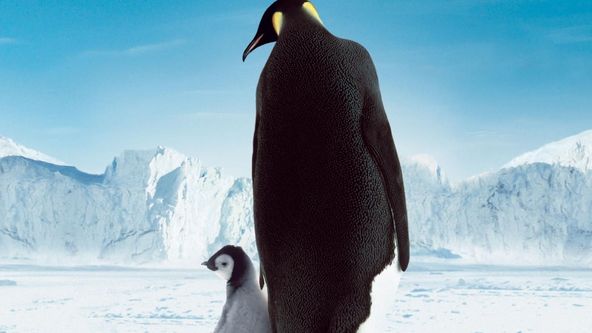 Putování tučňáků