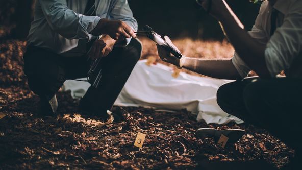 Wonderlandský masakr II (1)