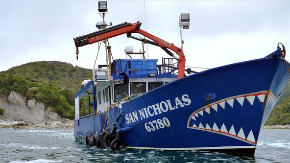 Lovci ostnatého zlata (2)