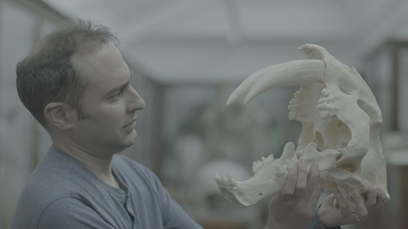 Odhalená ztracená zvířata (3)