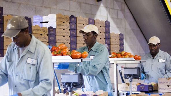 Továrna na jídlo VI (10)