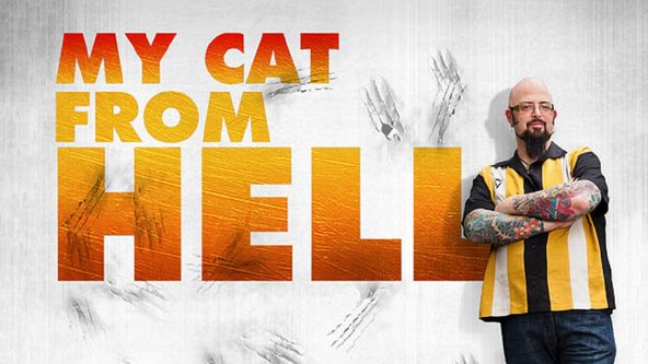 Má pekelná kočka VIII (10)