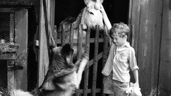 Dědeček, Kyliján a já