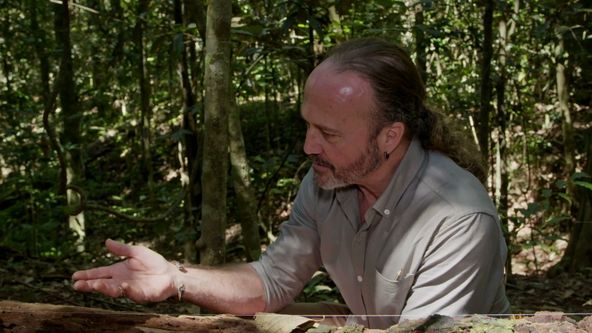 Zvířecí odysea (3)