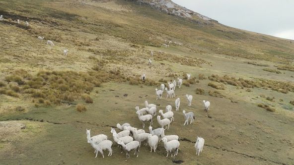 Peru: Oběti v království Chimor