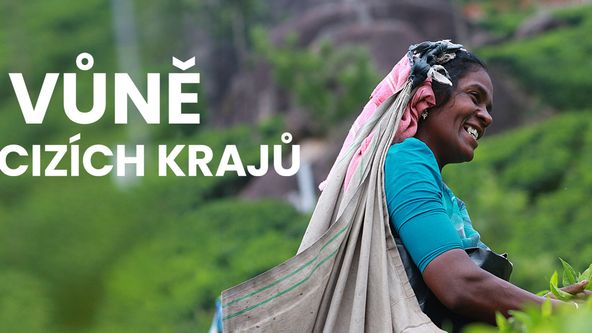 Markézy, k pramenům Polynésie