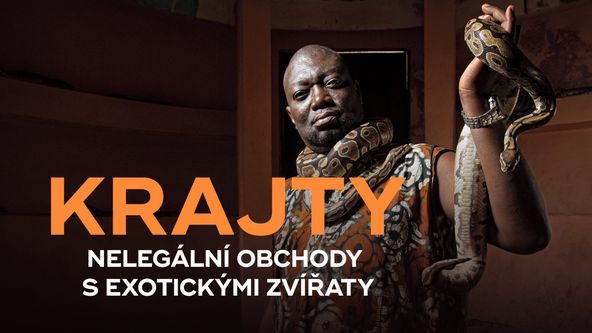 Krajty, nelegální obchody s exotickými zvířaty