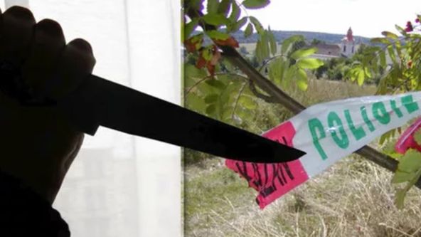 Zabijáci v Čechách (6)