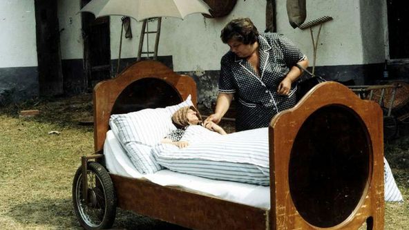 Slunce, seno, jahody