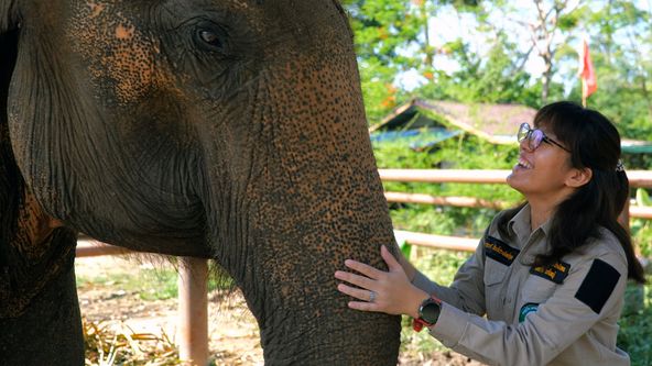 Thajsko: Svátek barev (3)